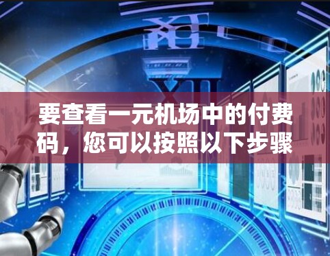 要查看一元机场中的付费码，您可以按照以下步骤操作