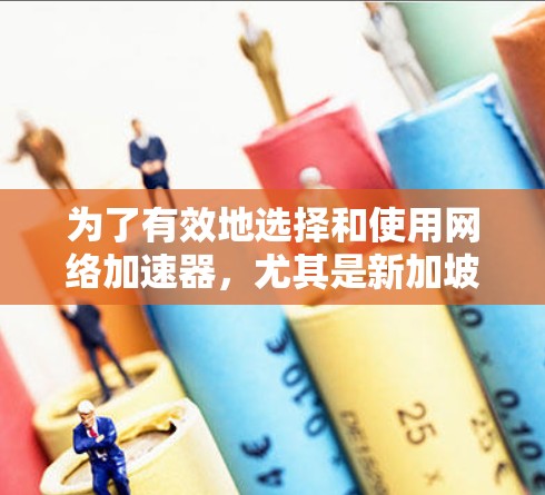 为了有效地选择和使用网络加速器，尤其是新加坡的节点，您可以按照以下步骤进行