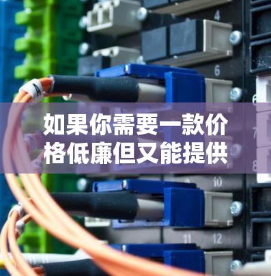 如果你需要一款价格低廉但又能提供良好隐私保护和安全性的VPN服务，以下是一些推荐的超低价VPN选择