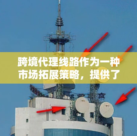 跨境代理线路作为一种市场拓展策略，提供了进入新兴市场的有效途径。以下是对跨境代理线路的详细分析和总结